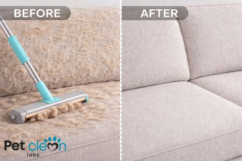 Remove Embedded Pet Hair From Couches, Carpets & Car Seats
