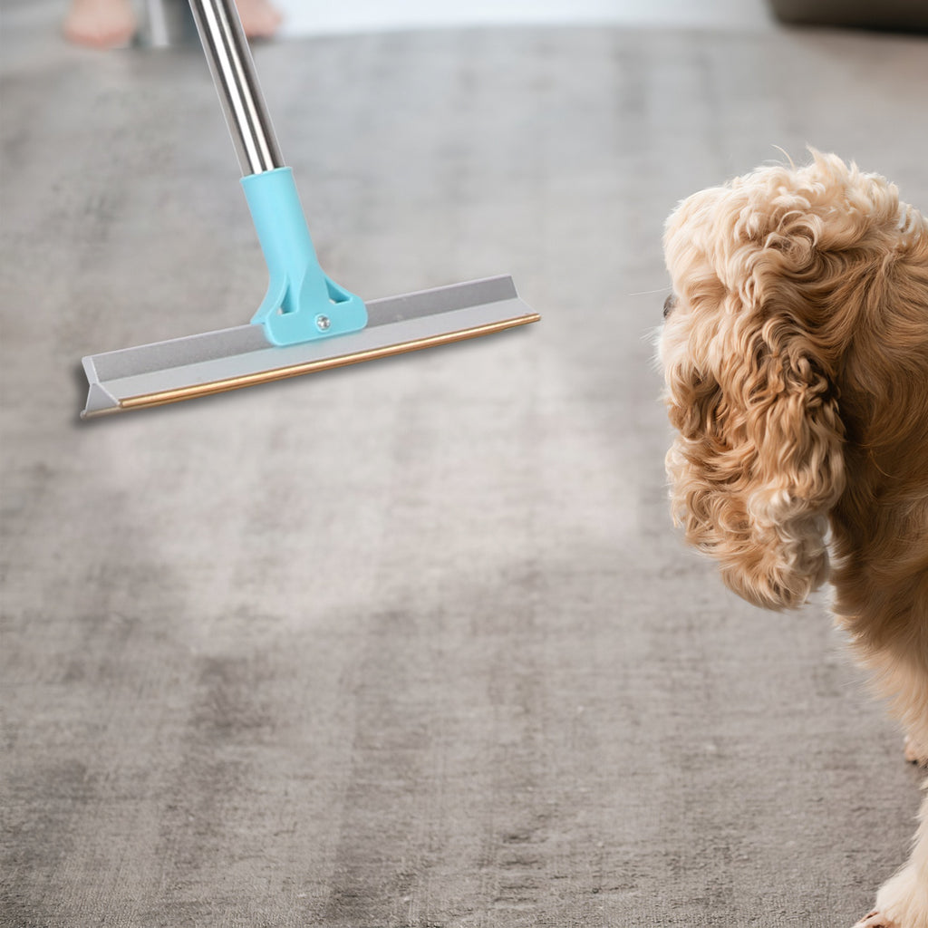 Remove Embedded Pet Hair From Couches, Carpets & Car Seats