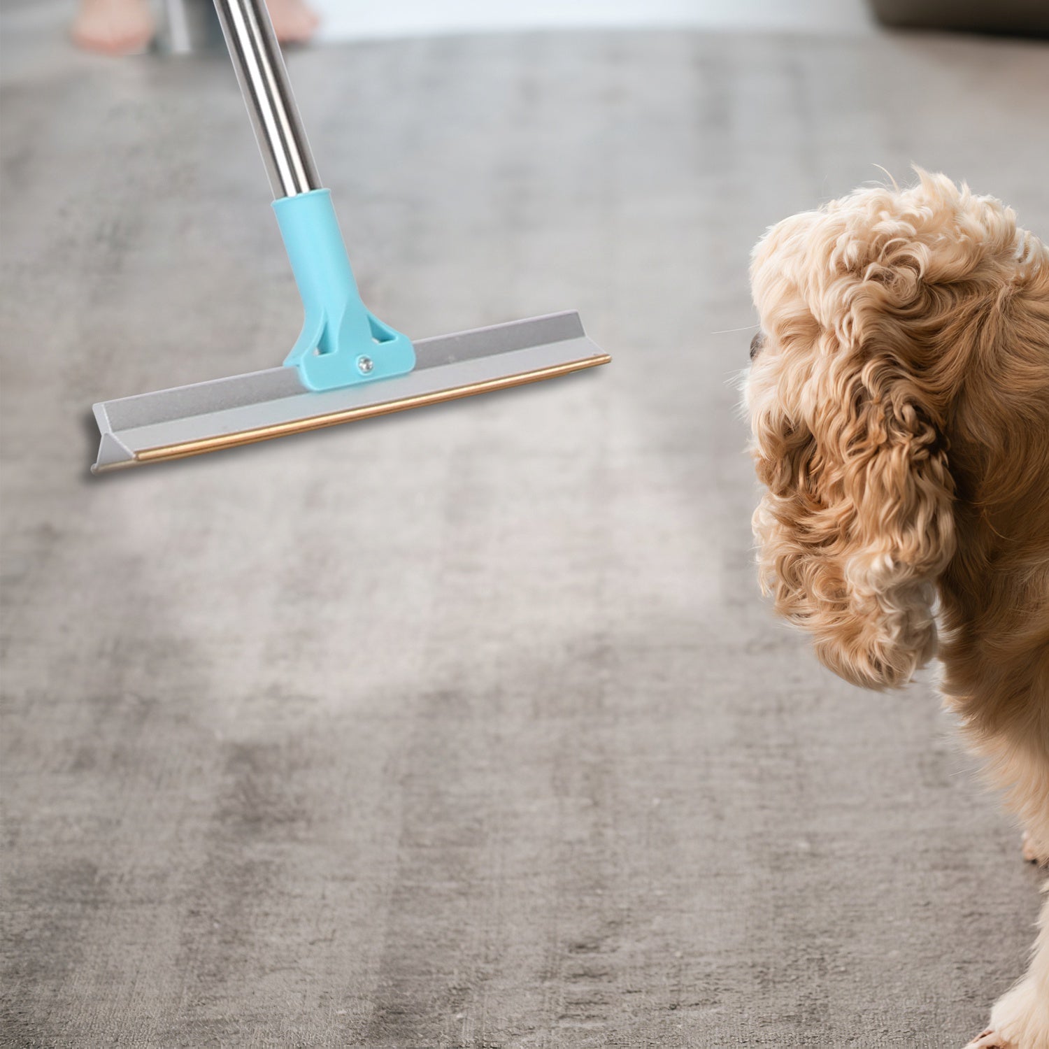 Remove Embedded Pet Hair From Couches, Carpets & Car Seats